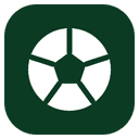 Extension Icon